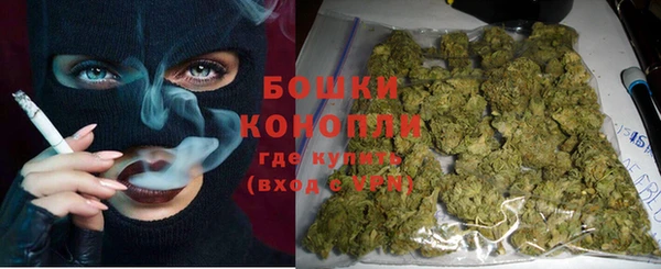 молекула духа Арсеньев