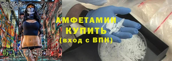 молекула духа Арсеньев
