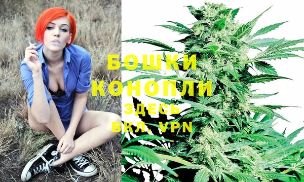 каннабис Бежецк