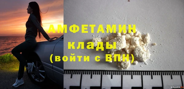 молекула духа Арсеньев