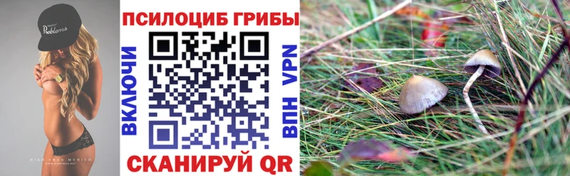 Псилоцибиновые грибы MAGIC MUSHROOMS  мега как войти  Вельск 